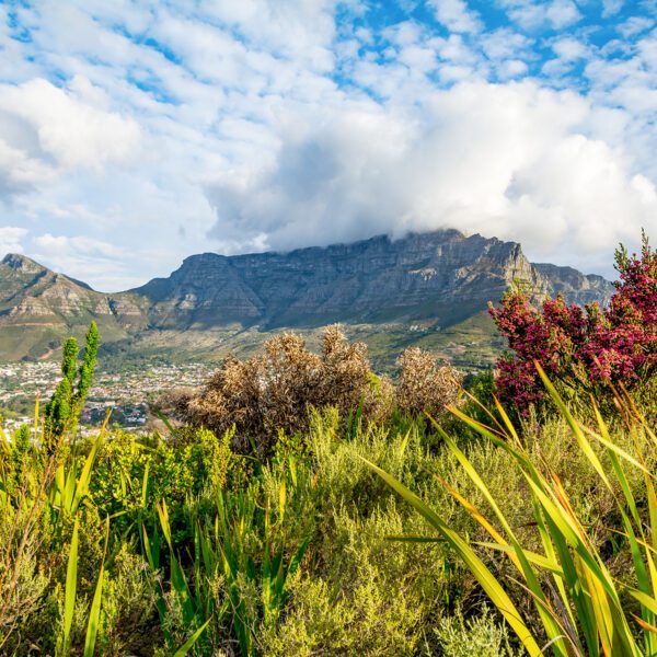 Cape Town - 4 Days / 3 Nights